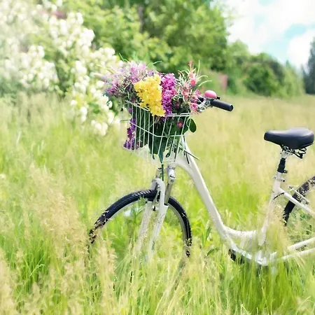 בית נופש House By The With A Fireplace Rosnowo