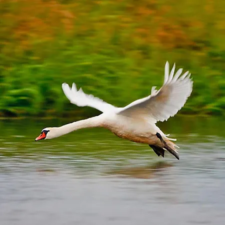 別荘 House By The With A Fireplace Rosnowo