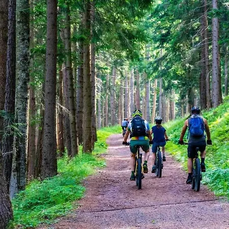 House By The With A Fireplace * Rosnowo